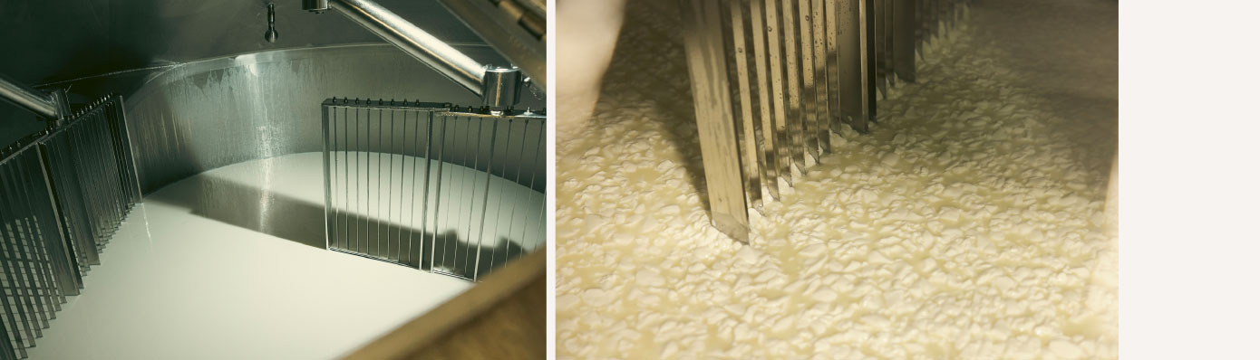 Formaggio Castelmagno