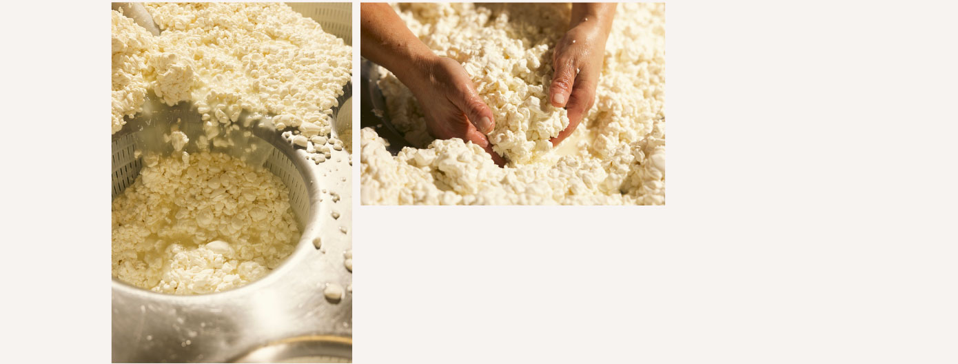 Formaggio Castelmagno