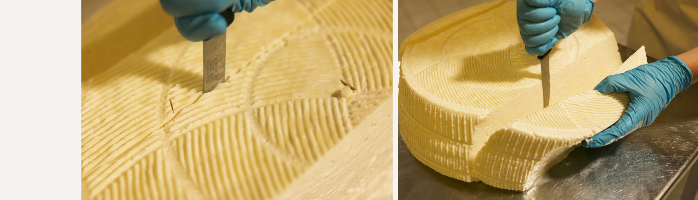 Formaggio Castelmagno