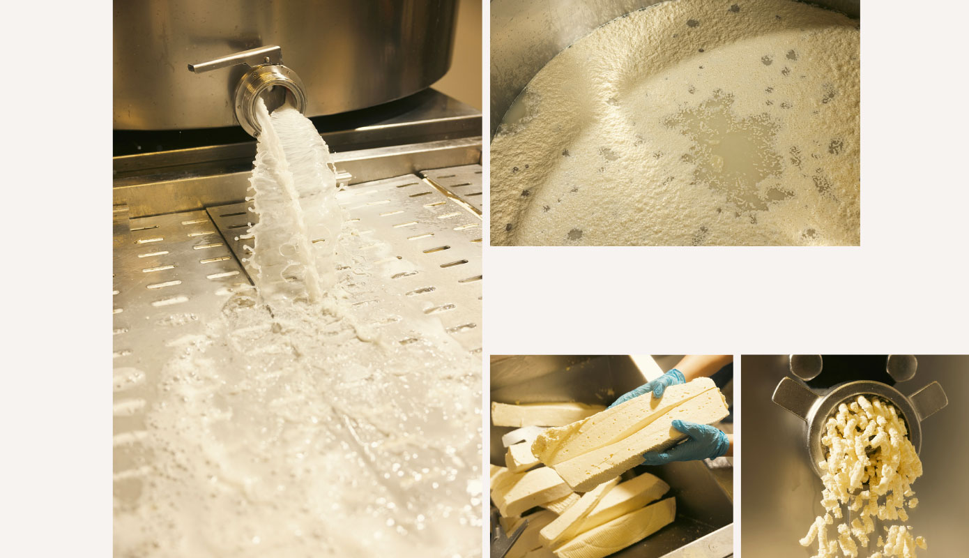 Formaggio Castelmagno