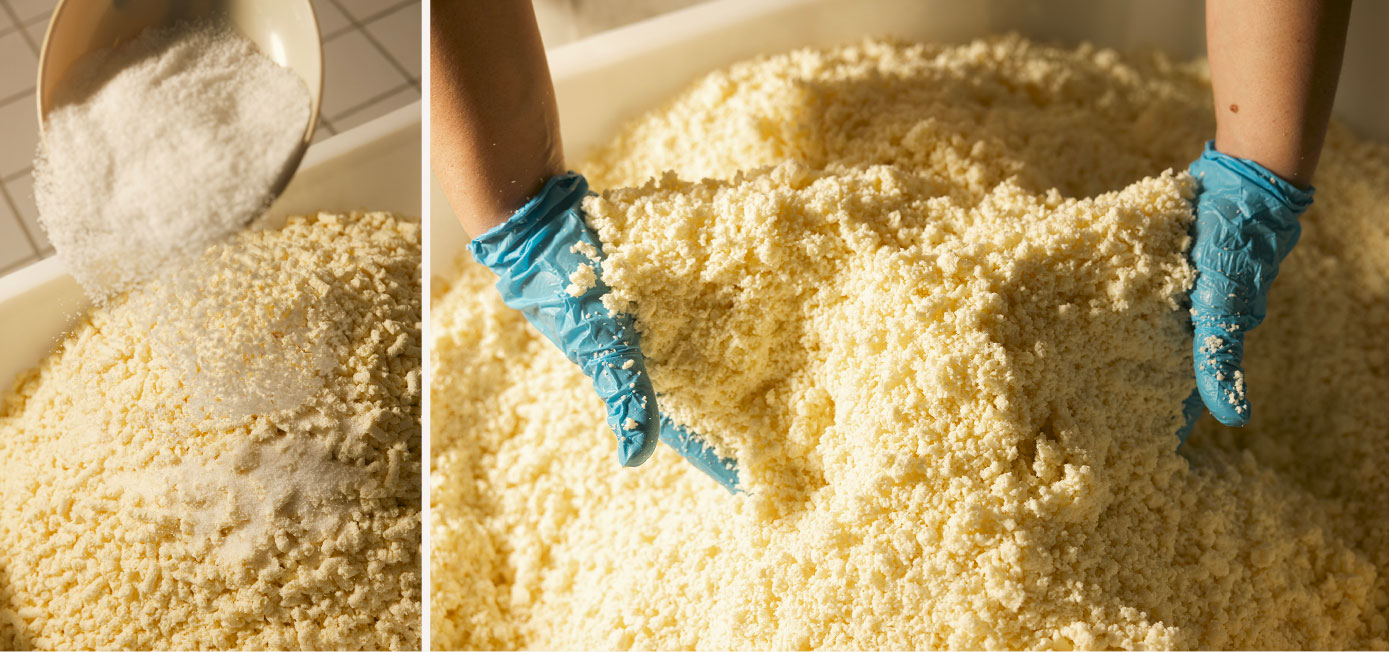 Formaggio Castelmagno